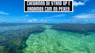 PISCINAS NATURAIS DE PORTO DE GALINHAS - IPOJUCA / PE