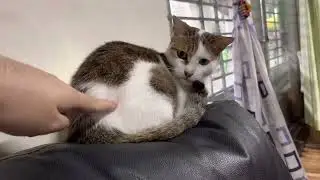 you stop or I go