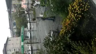 Йоер Илюша