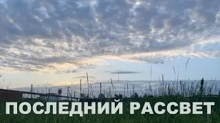 Красивый рассвет и пение птиц!