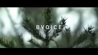 MUSIC MAFIA • BVOICE  @ GEO