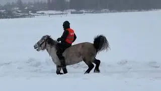 Скачки на Якутских лошадях. с.Кюкяй Сунтарский улус