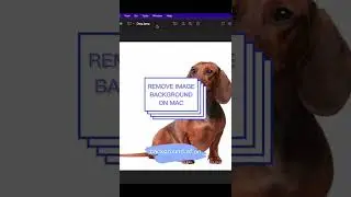 Remove Image Background on Mac
