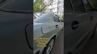 редкий зверь #3111 #волга #бояре