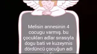 Bulmaca videoları