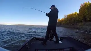 харабали 2016 октябрь