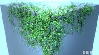Jungle Block