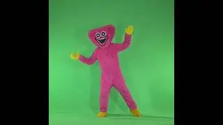 Кист Миси на зелёном фоне хромаккй футаж