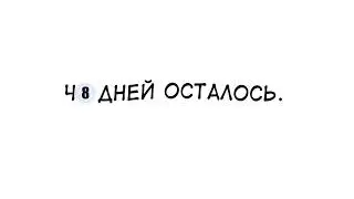 48 дней.