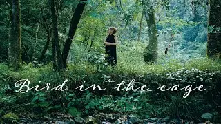 【4K MV】Bird in the cage / Yuki Koshimoto