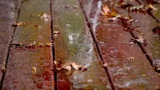 Waiting for Rain