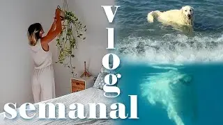 🌟 Una semana conmigo | Nueva temporada de Pepco, Rio en la playa y básicos para pintar acuarela 🎨
