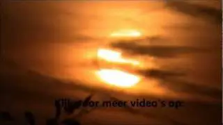Ree