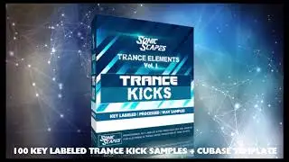 In Tune Trance Kicks Sample Pack | Key Labeled Wav Samples |Sonicscapes