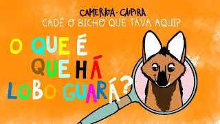 O quê que há, Lobo-Guará? - Camerata Caipira