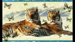 АНТИСТРЕССОВЫЕ ЗВУКИ ПРИРОДЫ / СКАЗОЧНЫЙ ЛЕС / 10 МИНУТ РЕЛАКСА / слайд-шоу