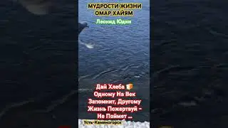31 июля 2024 г.