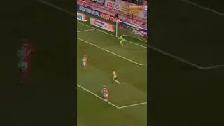 КАКОЙ ГОЛЕШНИЙ ЗАВАЛИЛ СЕЛЯВА  