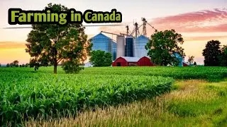 farming in Canada / कनाडा में खेती / Advance farming agriculture in Canada / #farminglifeofcanada