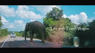 🚕🚕🚕Life with Travel Wagon 🚗🚗🚗Film by - Isuru Galanga 0767000526 #eosr #djimavicpro #edius9 #prepro