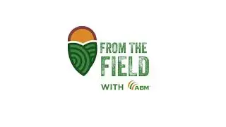 From the Field - Soybean Fields