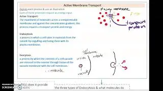 VCE Biology KK1 Plasma Membrane Pt2