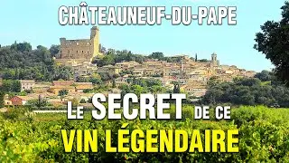 Châteauneuf-du-Pâpe : Ce vin que les américains achètent 400$ la bouteille | Documentaire