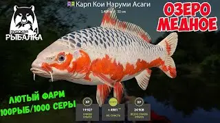 русская рыбалка 4 .фарм на снасти на море
