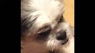 Charlie's Only Friend part 3; The Reckoning