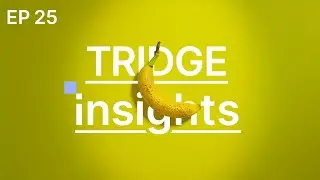 Tridge Insights | Will Vietnam boost trade after Ecuador's FTA?