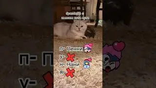 #кот#cat#youtube#ютуб#brawlstars#bs#бравлстарс#бс#fyp