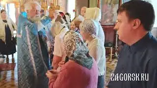 Престольный праздник Казанского храма села Шеметово. 21 июля 2024 года