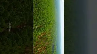 Fast Time Drone fly | shoot | DJI MIMI 2 SC | bapigraphy |@DJI #viral #drone