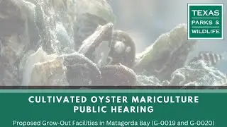 Public Meeting | Proposed Cultivated Oyster Mariculture Sites in Matagorda Bay (G-0019 and G-0020)