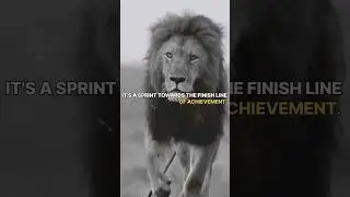 ❤ Life quotes | #shorts  #motivation  #animal  #attitude  #status  @digital_being