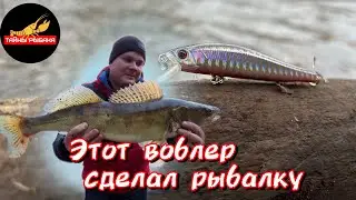 Этот воблер сделал рыбалку! Рыбалка на спиннинг.
