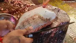 Tilapia fishcutting skill | fresh fish in fishmarket | fish meat 🍖| amazing fisherman 🎣🐠🐟