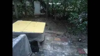 дождь в октябре у меня в саду