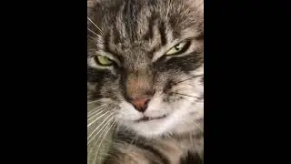 Это ты?