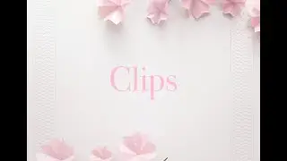 Veien til naturfilm 5 Clips lage film