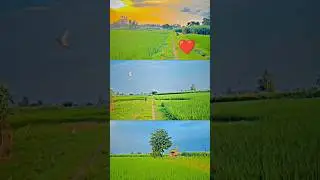 3 Layer Video| 3 Layer Video Editing| Instagram 3 Layer Video kaise banaen | 3 Layer farming video