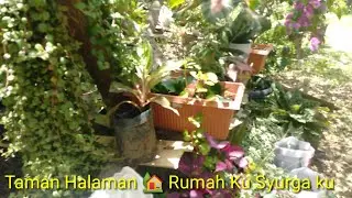 Taman Rumahku 🏡 Syurgaku, Hari Kecilku Bahagia di Situ
