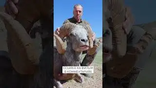 🏜 MOUNTAIN SNIPER accuracy ON TARGET 🫀 (Gobi Argali) ⏱