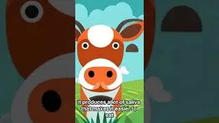 A cow's saliva is 200L a day
