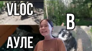 VLOC В АУЛЕ🏞//КОТИК🐱СОБАКА🐶ГУСИ🐤
