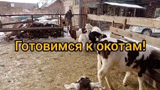 Готовимся у окотам. Обзор
