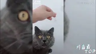 Tik Tok Top Vol 6