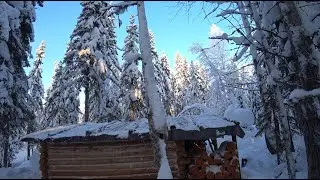 #1ч