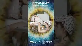 Scientifica 2023