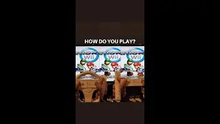 Nunchuck or Wheel? Mario Kart Wii 